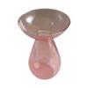Colorful Transparent Avocado Hydroponic Vase Long Oval Hydroponic Vessel Growing Plant Glass Gardening Lovers Home Decor
