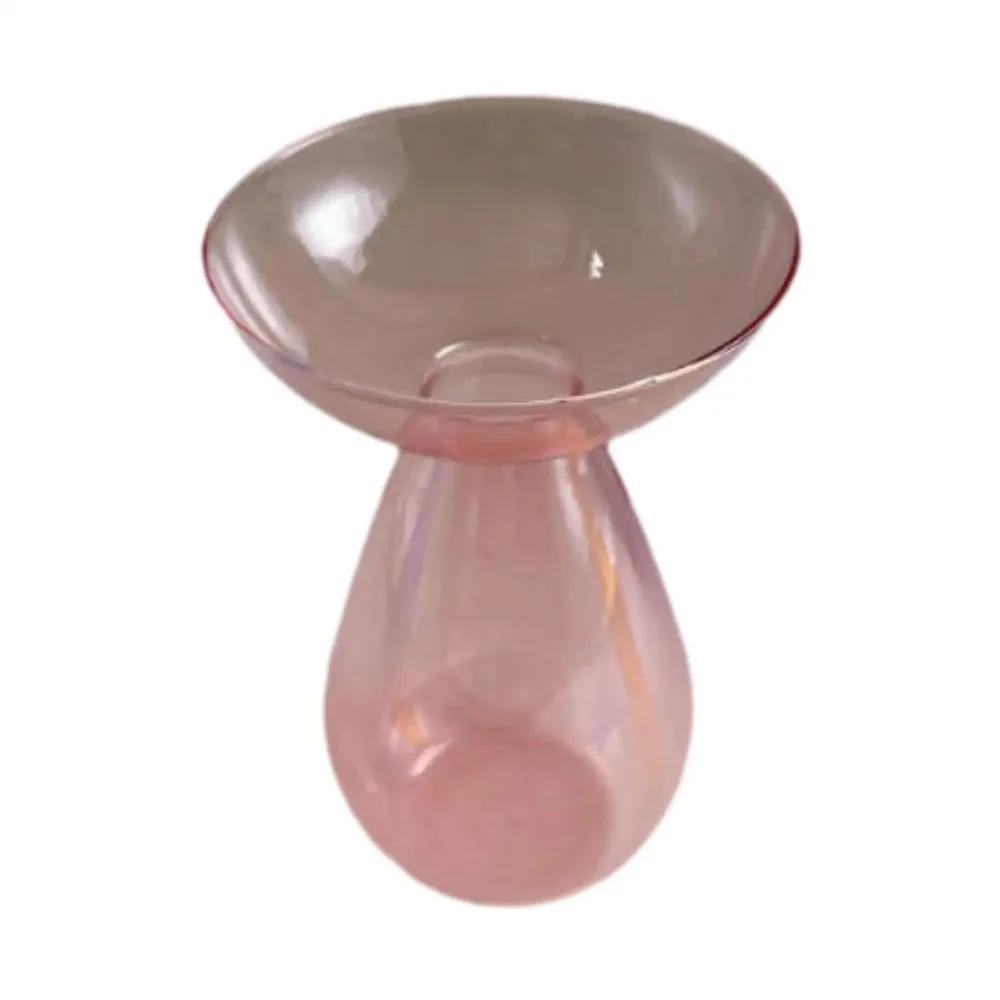 Colorful Transparent Avocado Hydroponic Vase Long Oval Hydroponic Vessel Growing Plant Glass Gardening Lovers Home Decor