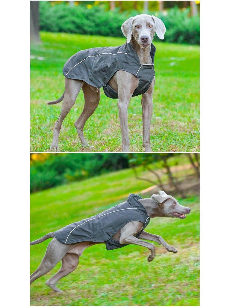 Clearance Windproof & Waterproof Large Dog Sporty Jacket - Warm, Cold-Proof Pet Clothing