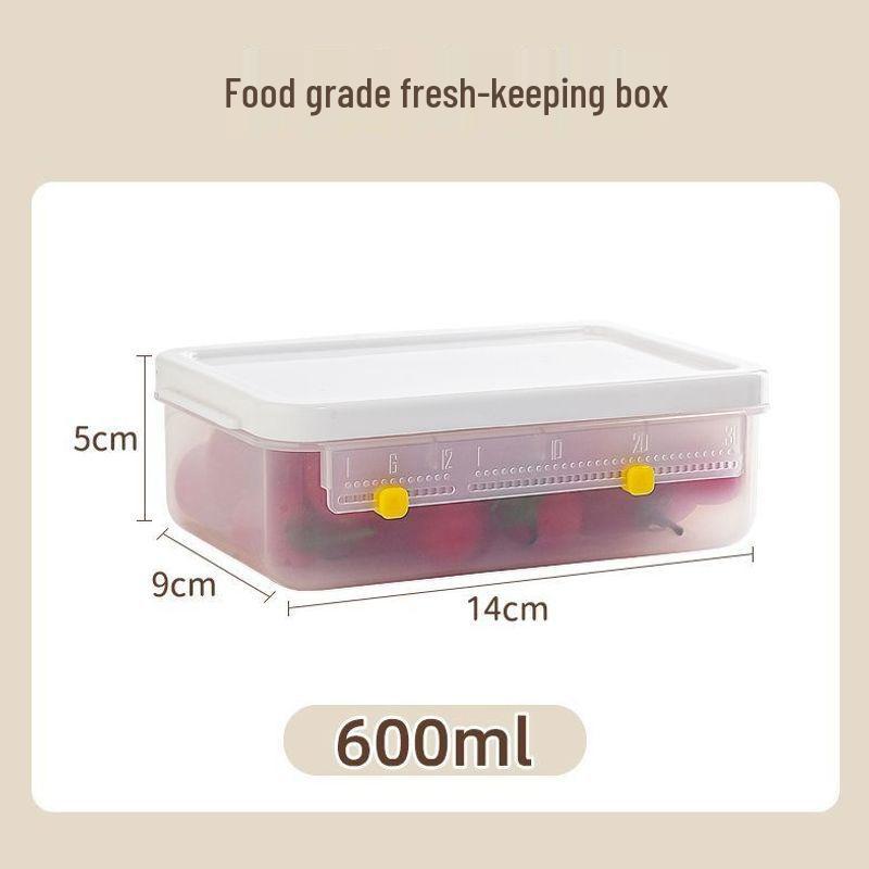 Large Capacity Antibacterial Fresh-Keeping Storage Box for Meat with Timing, Sealing, and Heating Features