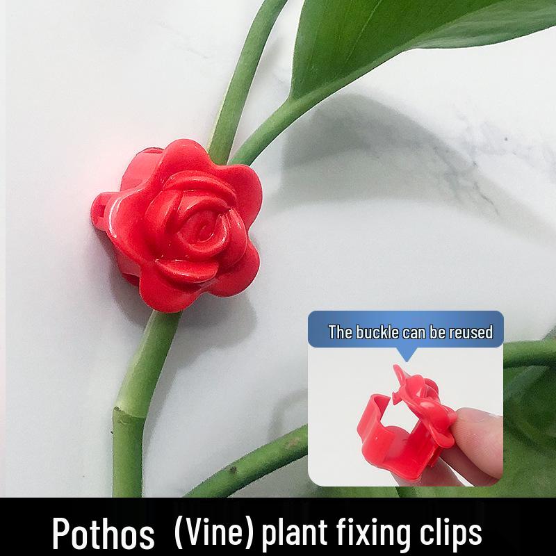 Self-Adhesive Invisible Clips for Wall-Mounting Green Vines and Ivy