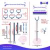 BJD Doll Adjustable Stand for 1/6, 1/8, 1/12 Scale Figures