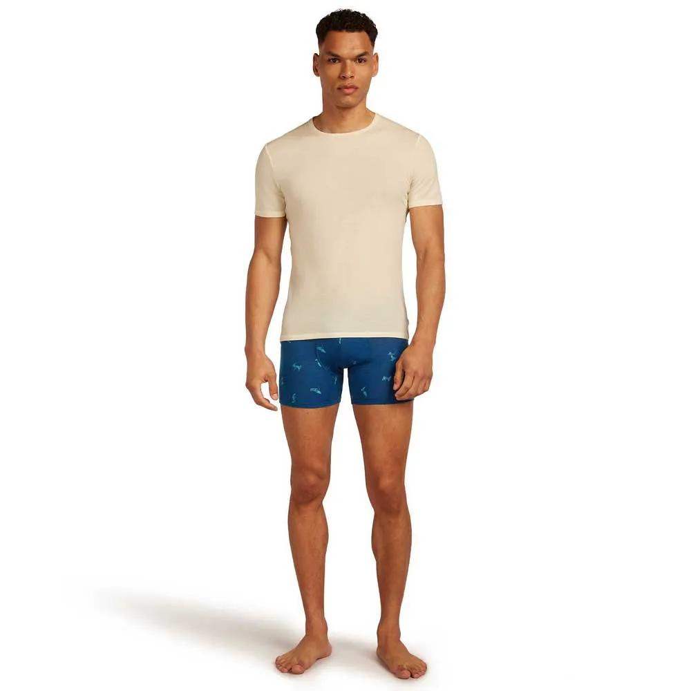 Icebreaker Merino 150 Anatomica Boxer Briefs Snow Day