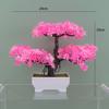 Plumosus Apargus Baker Plastic Faux Bonsai For Indoor Decoration Tabletop