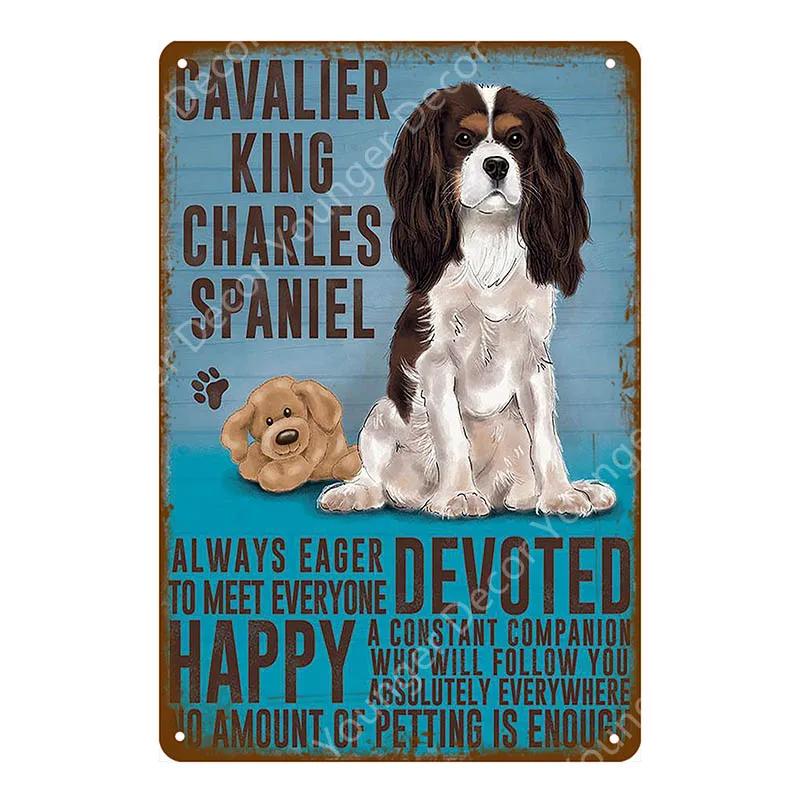 Animal Dog Cat Vintage Metal Poster Home Decor Retro Tin Sign For Pub Bar Club Decorative Plate Poodle Wall Plaque