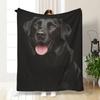 1pc Soft Flannel Black Cat & Dog Blanket – Cozy, All-Season, Fit Sofa/Bed/Office/Shawl/Leg Warmer/Camping, Gift for Pet Lovers