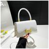 Premium Sense Niche Versatile Handbag Women's 2025 New Foreign Style Commuting Shoulder Messenger Small Square Bag
