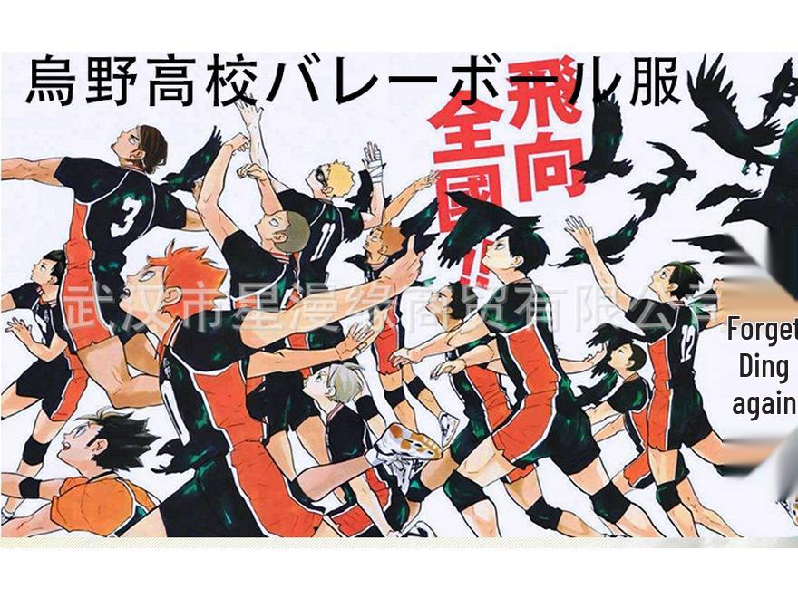 Haikyuu!! Cosplayový dres volejbalového týmu střední školy Karasuno