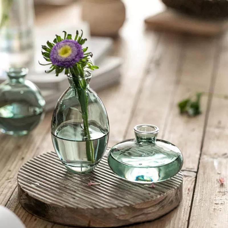 Przezroczysty szklany wazon na nasiona awokado Wazon na nasiona Zestaw do uprawy Wazon na awokado do uprawy Prezent dla miłośników ogrodnictwa Wystrój domu