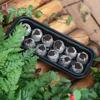 Three in One Transparent Sowing and Seedling Tray with 12 Nutrient Seedling Soil Blocks Novice Horticultural Sowing Box Planting