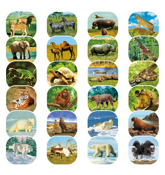 Photo Projectors For Children