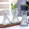 Art Hydroponique Vase Transparent Irrégulier Forme Créative Bouteille pour Plantes Décoration de Maison