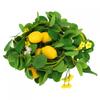 Lemon Rattan Fake Plant For Wedding Party Decorations