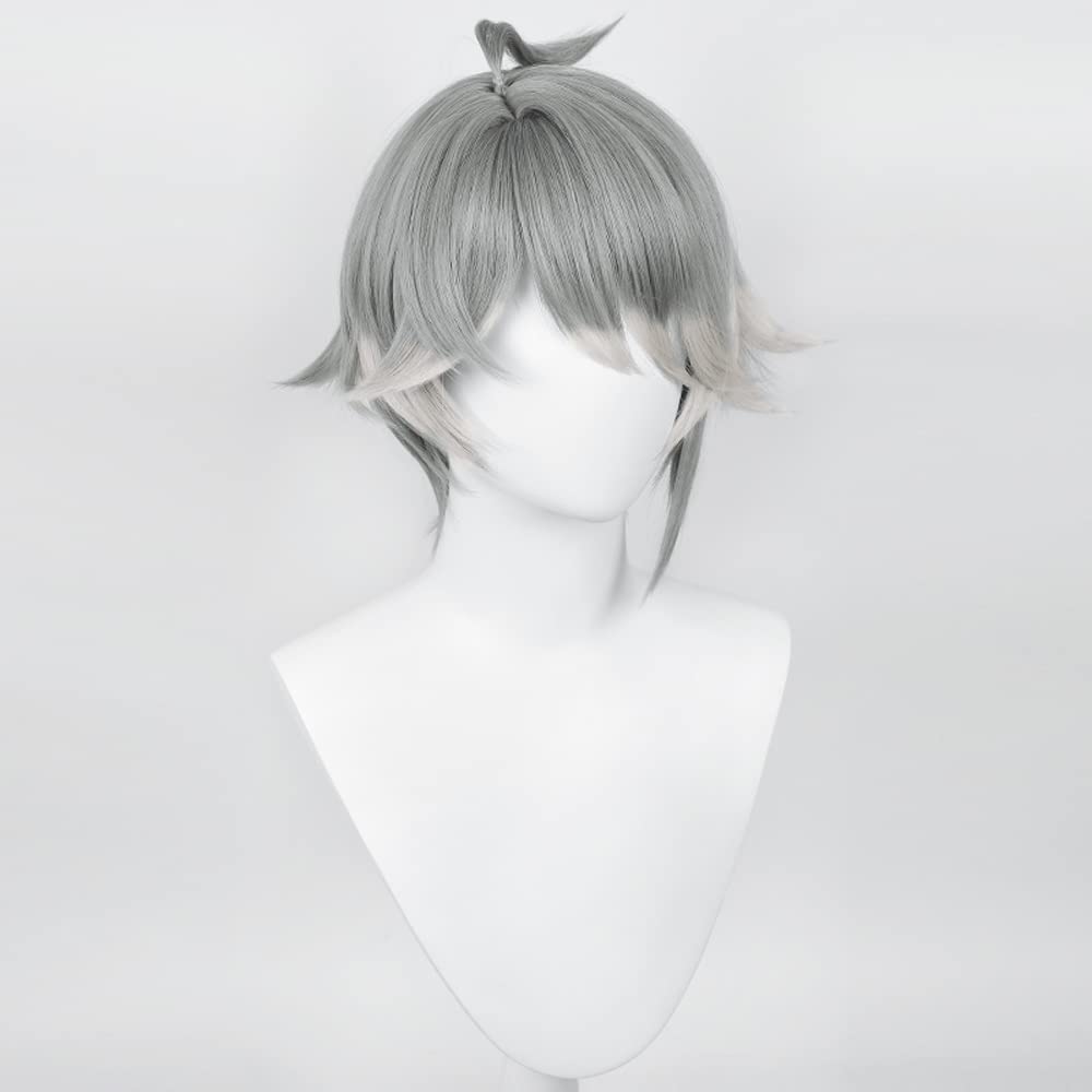 Alheizen Cosplay Costume Accessory for and Includes Wig Net Wig, Heat-Resistant, Halloween, Christmas, Parties,