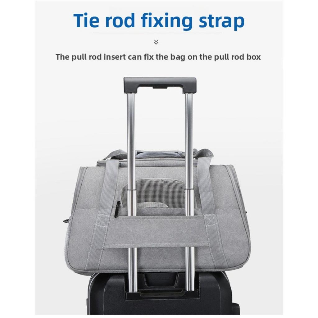 Portable Portable Cat Bag for Outdoor Use, Transparent, Breathable, Foldable Pet Bag That Can Be Diagonally Crossed, Car Cat and Dog Bag
