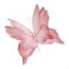, Wedding Photography And Decoration Supplies.