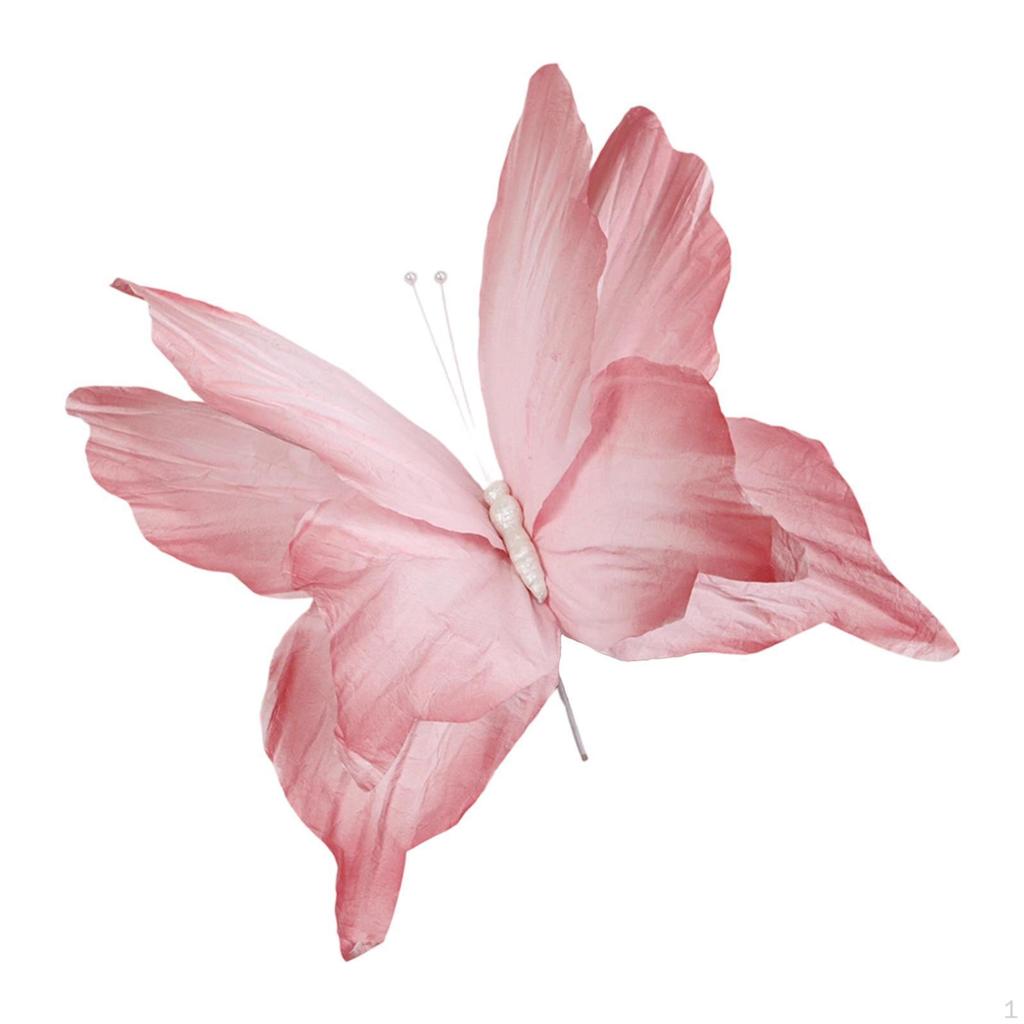 , Wedding Photography And Decoration Supplies.