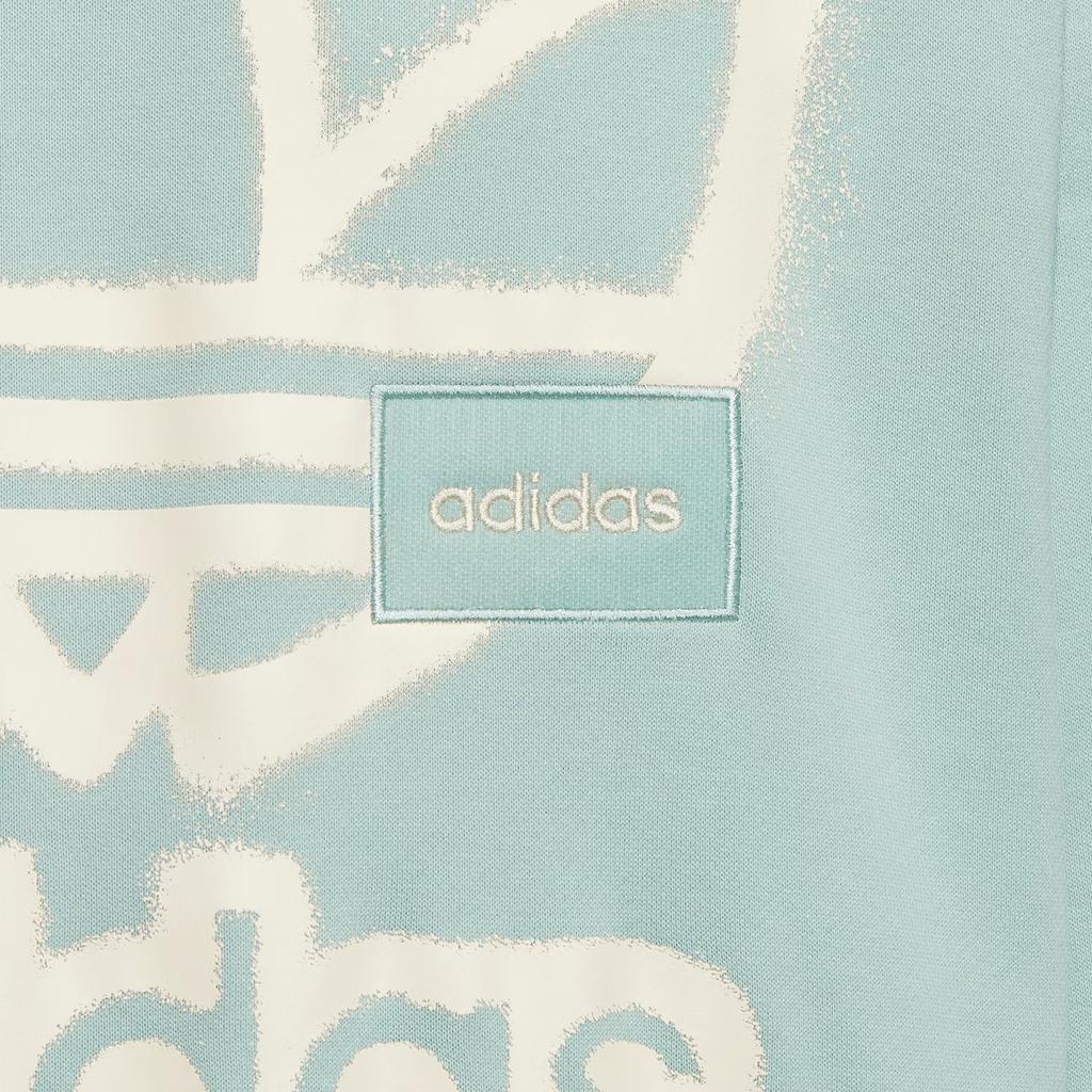 Adidas Originals Adicolor Crew Neck Sweatshirt With Front Print Unisex Tops Teal HS1996