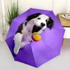 1pc Dog, Ball Automatic Folding Umbrella - Portable Collapsible Design, 8-Rib Iron Frame, Playful Design yy251215212