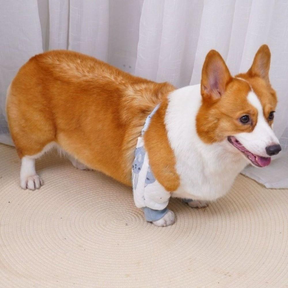 Elastic Dog Elbow Brace Breathable Adjustable Puppy Joint Protector Cartoon Pattern Soft Dog Knee Pads Joint Protection
