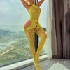 Women's High Elastic Hollow Fishnet Sexy Solid Color Erotic Lingerie Pajamas