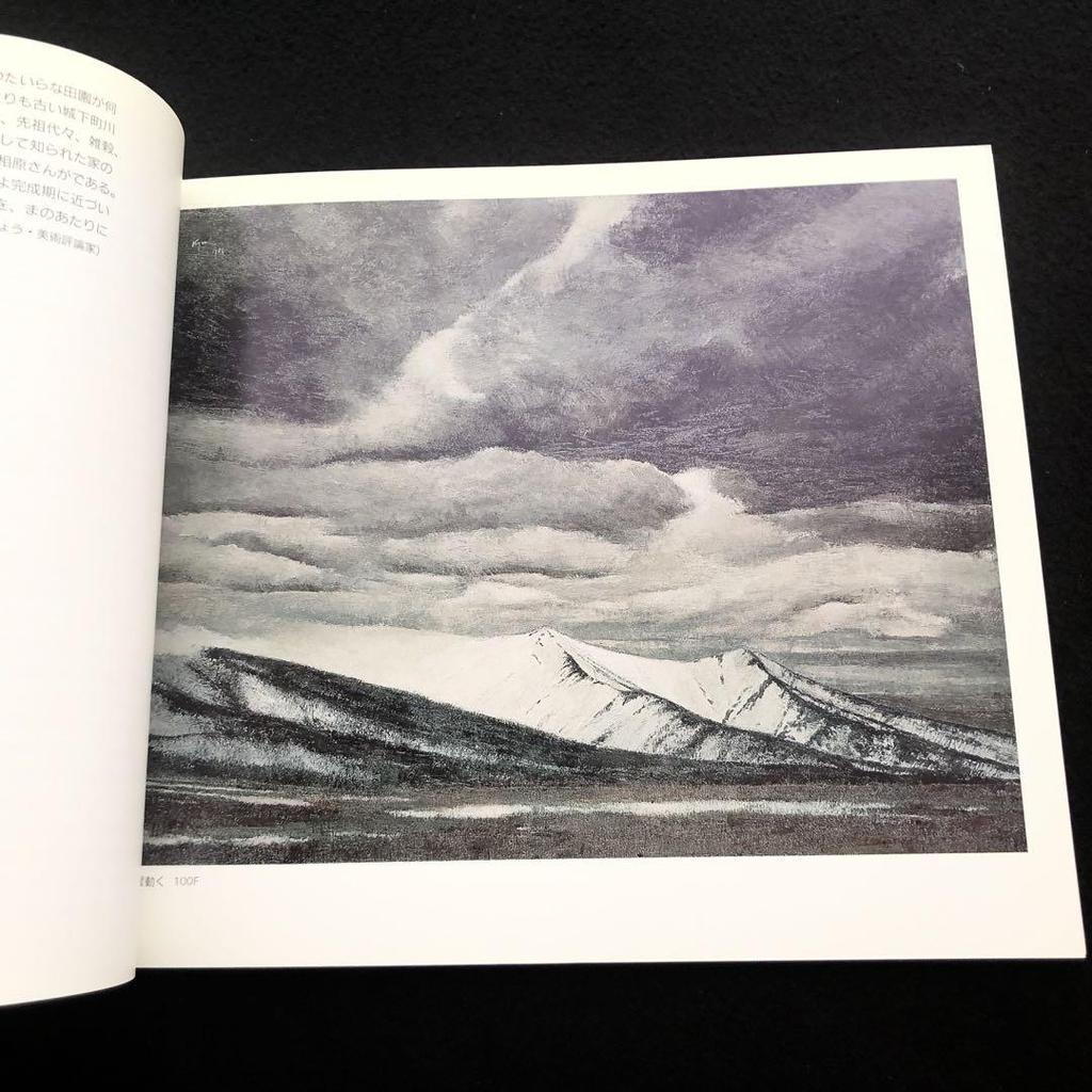 [USED] Catalog "Kyuichiro Aihara Exhibition: Early Spring - News from Furano" 1986, Nichido Gallery