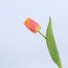 Feel Faux Moisturizing Tulipa Gesneriana Flower Bouquet For Interior Decor