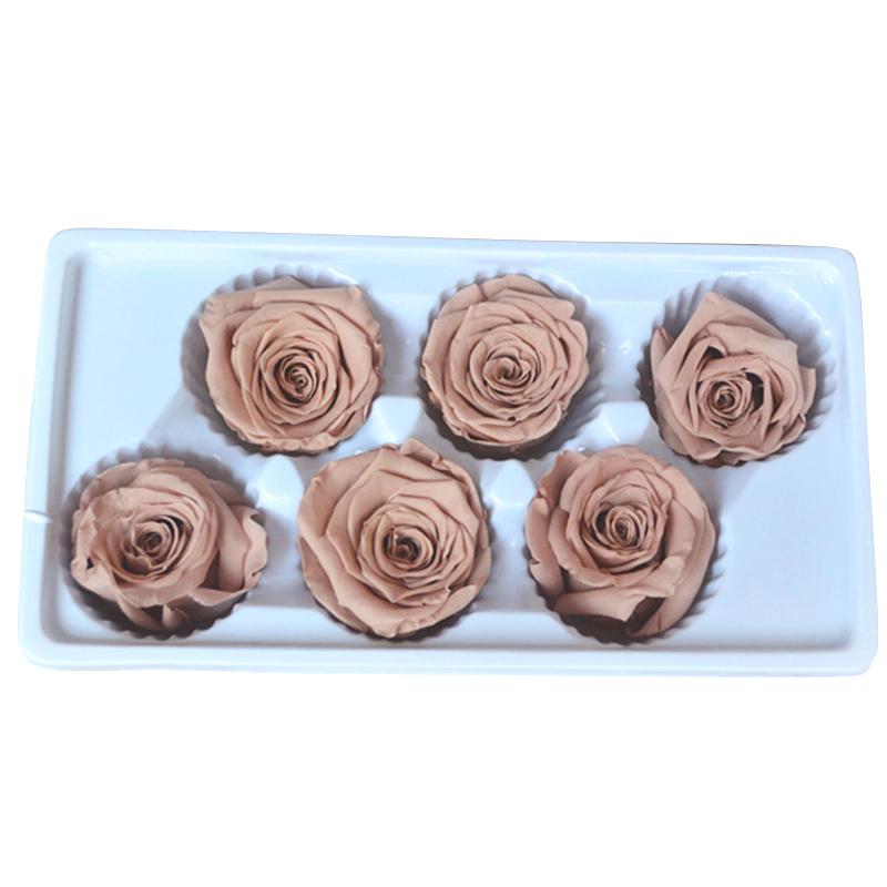 

6 шт./кор. вечный цветок жизни на день матери, сохраненный на свадьбу, 5-6 см, сделай сам, высокое качество, День святого Валентина, роза, декор для вечеринки, подарок хаки