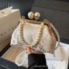 Korean Version of Internet Celebrity Clip Bag 2025 Foreign Style Versatile Shoulder Messenger Bag New Chinese Popular Pearl Portable Chain Bag