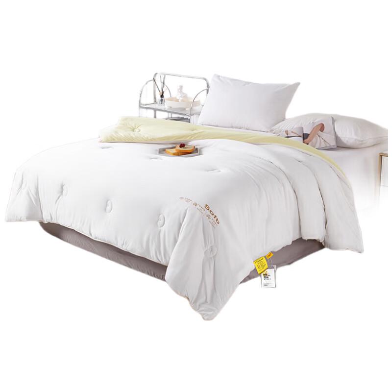 Warm & Fluffy Soybean Fiber Quilt