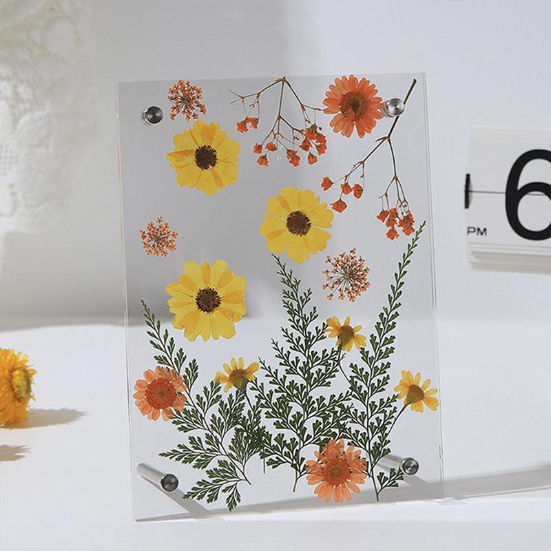 1PC Acrylic Photo Frame Transparent Handmade Frame DIY Dried Flower Display Stand 6-Inch 13.7x18.7cm