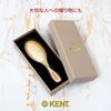 22k Gold Pin Scalp Massage Cushion Hair Brush GPL01 Royal Warrant Gold G.B.KENT