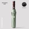 Puluo 10-Rib Fully Automatic Folding Umbrella