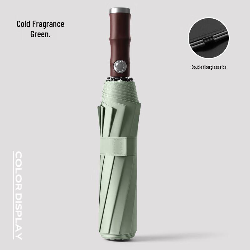 Puluo 10-Rib Fully Automatic Folding Umbrella