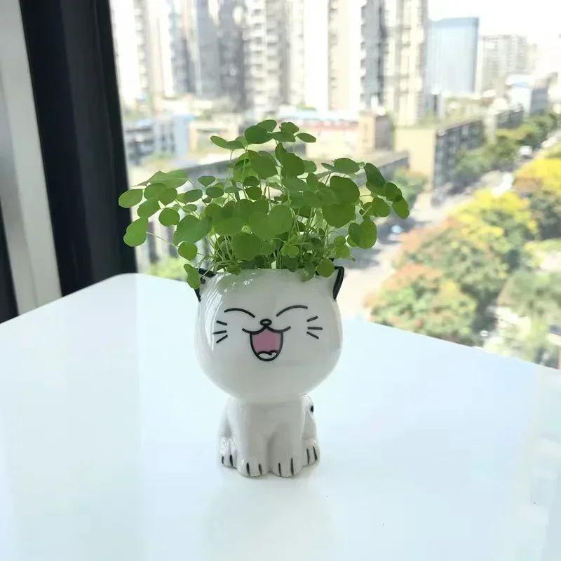 Keramik Blumentopf Mini Katze Cartoon Niedliche Topfpflanze Schreibtisch Katze Pflanztopf DIY Schreibtisch Dekorieren Wissenschaftliche Bildung Schulgeschenke