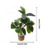 Life Like Miniature Plant For 1/6 Doll House Decoratio Potted Plant Scene Displaying Accessories For Craft Model Project