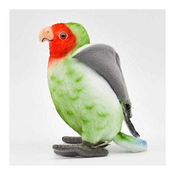 BH7254 HANSA Lovebird 13
