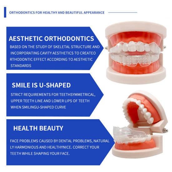 1 Pairs/3 Pairs Teeth Guardian Comfortable Non-Deformed Easily Clean Mouth Teeth Protector Night Guard for Oral Care