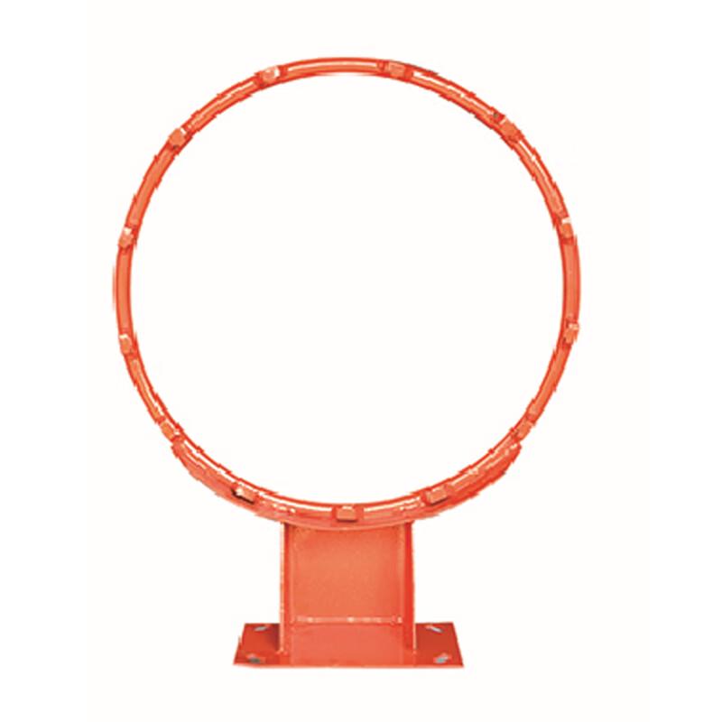 Tengzhi Wall-Mounted Adult Basketball Hoop
