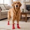 4 pieces/set Warm Pet Socks Booties Anti-Slip Dog Foot Covers Dog Socks Shoes  Rain Protection