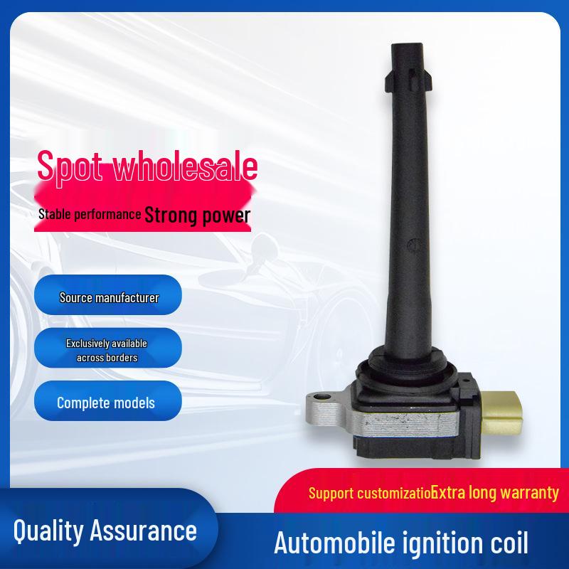 Ignition Coil for Renault Scenic, Kangoo, Megane (0221504030, 8200699627) 4-Cylinder