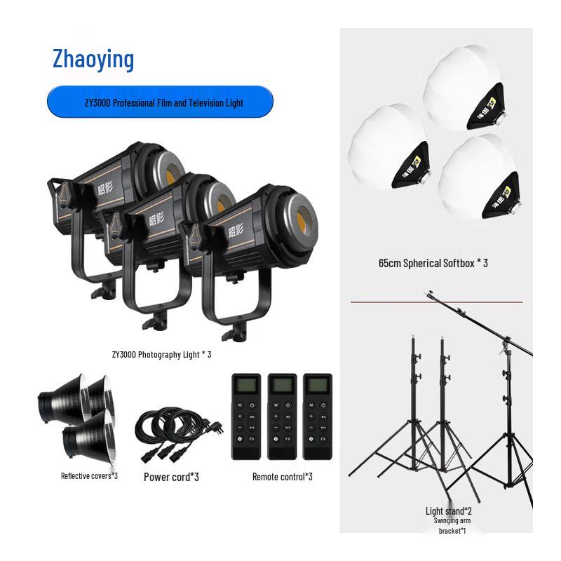 Zhaoying ZY300D 300W LED Video Fill Light Kit