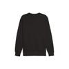 Puma American Retro Color Block Letter Design Straight Cut Crew Neck Long Sleeve Sweatshirt Men sweatshirt Black 681298-51