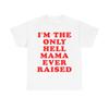 70s 80s Johnny Paycheck I'm the Only Hell Mama Ever Raised Country Music T Shirt - Retro - Nostalgia - Distressed Graphic - Memorabilia