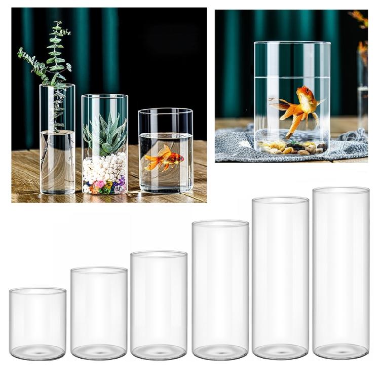 Vase en verre transparent Cylindres en verre Vase adapté à divers arrangements