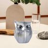 Modern Classy Happy Owl Resin Art Figure Showpiece (Pack of 1, Silver)