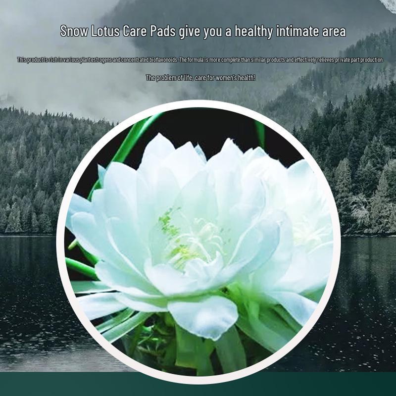 Shu Nai Mei Deluxe Snow Lotus Intimate Warming Pad Set - 12 Pieces