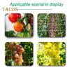 Plant Climbing Netting Roll for Garden Plants White Trellis Netting Outdoor Mesh Support Trellis for Climbing Plants Flowers Veggies