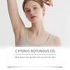 Cyperus Rotundus Care Oil Ontharingsolie Zachte, voedende en gladde huid Vermindert voorzichtig haargroei Voedt en verzacht de huid, 60 ml