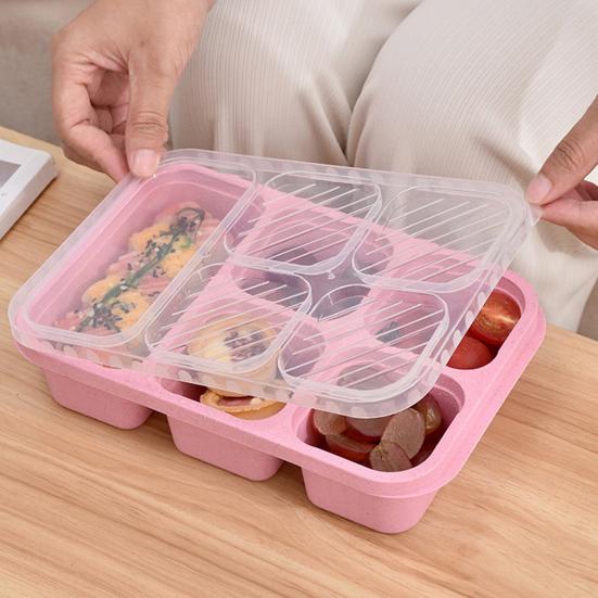 Lunch Box with Lid Five-Compartment Design Convenient Healthy Odorless Food Storage Containers for Snacks And Fruits